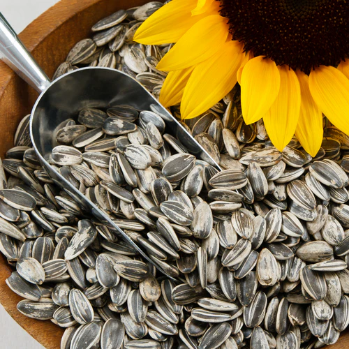 Sunflower Seeds Unsalted