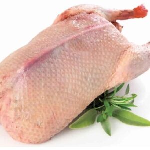 Baladi Duck - بط بلدي