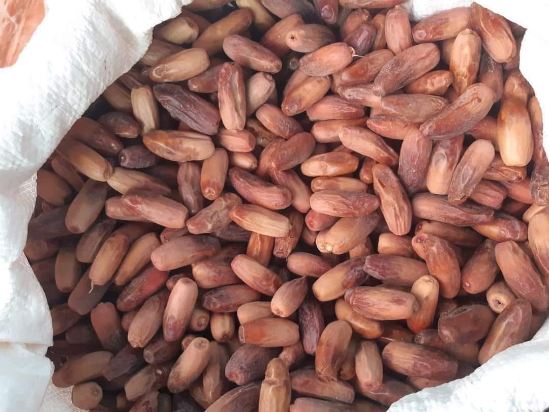 Fresh Organic Dates 1kg بلح سكوتى أسواني